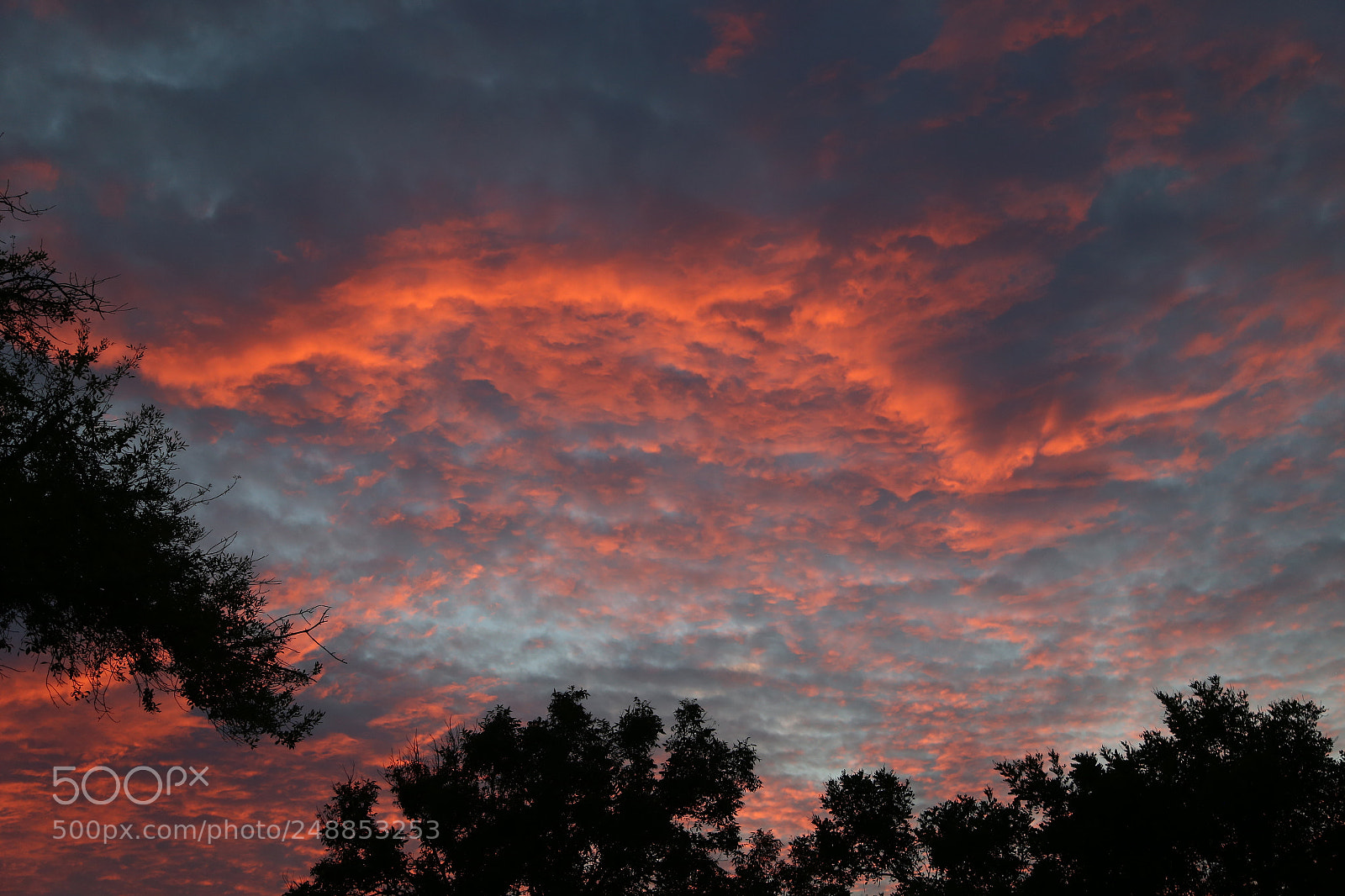 Canon EOS 6D + Canon EF 24-105mm F4L IS USM sample photo. Sunset photography