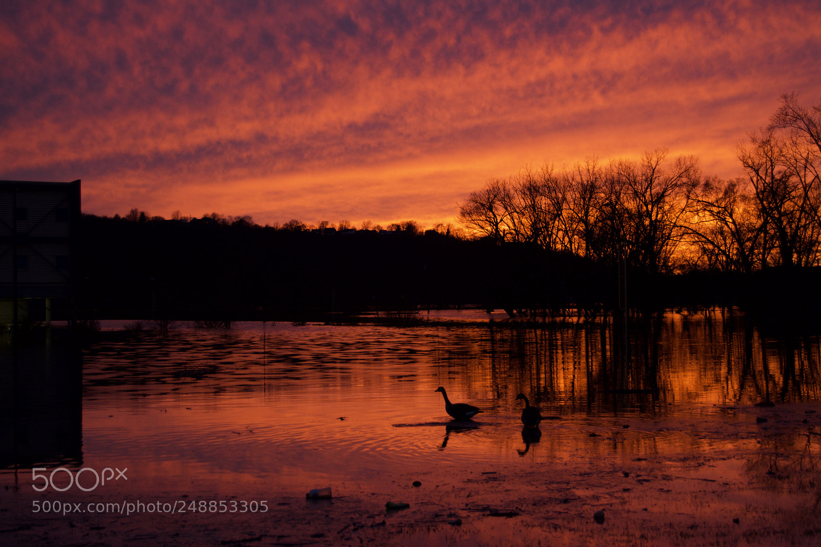Nikon D7100 sample photo. Flood at sunset photography