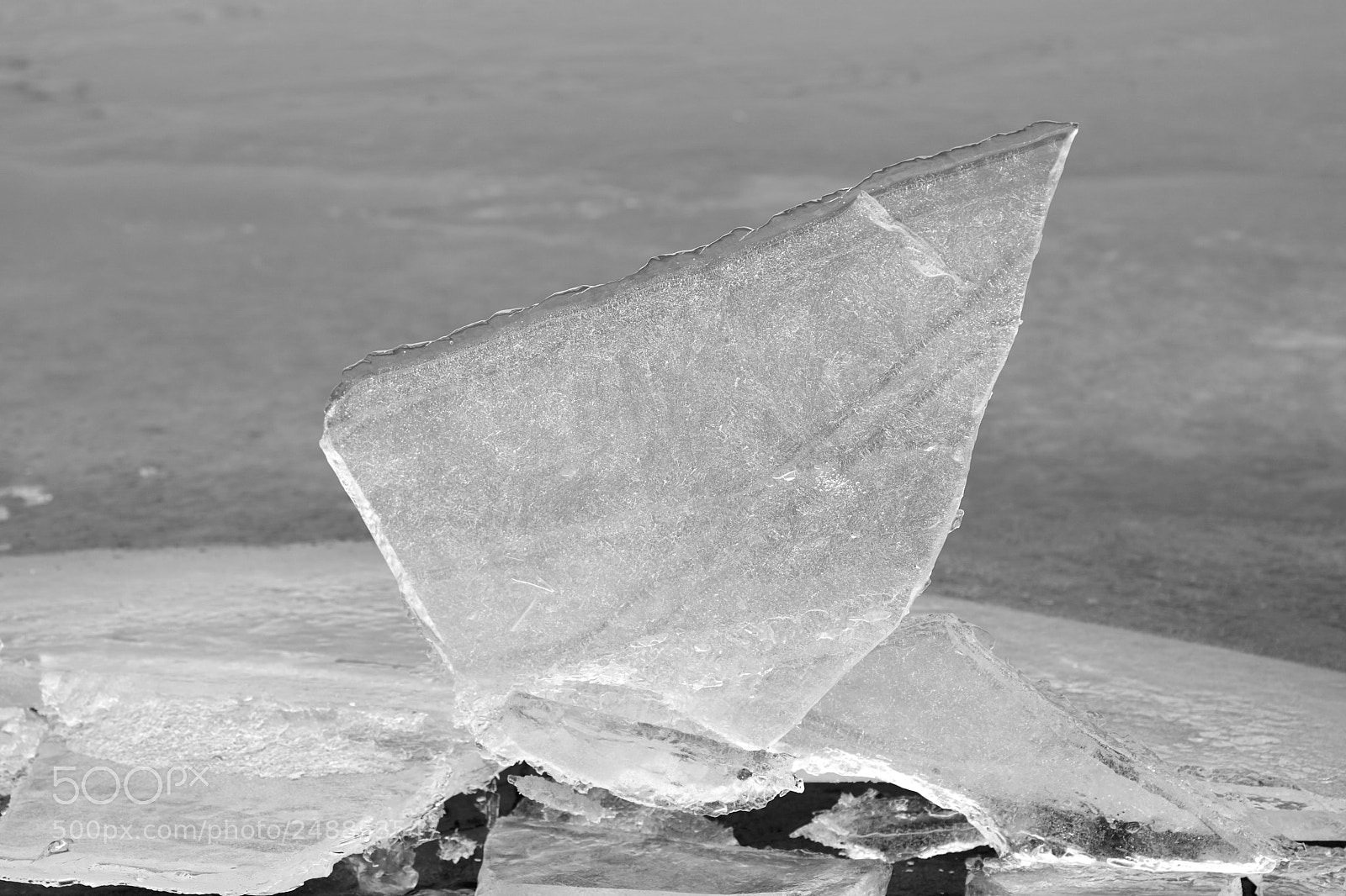 Sony ILCA-77M2 sample photo. Ice trophy photography
