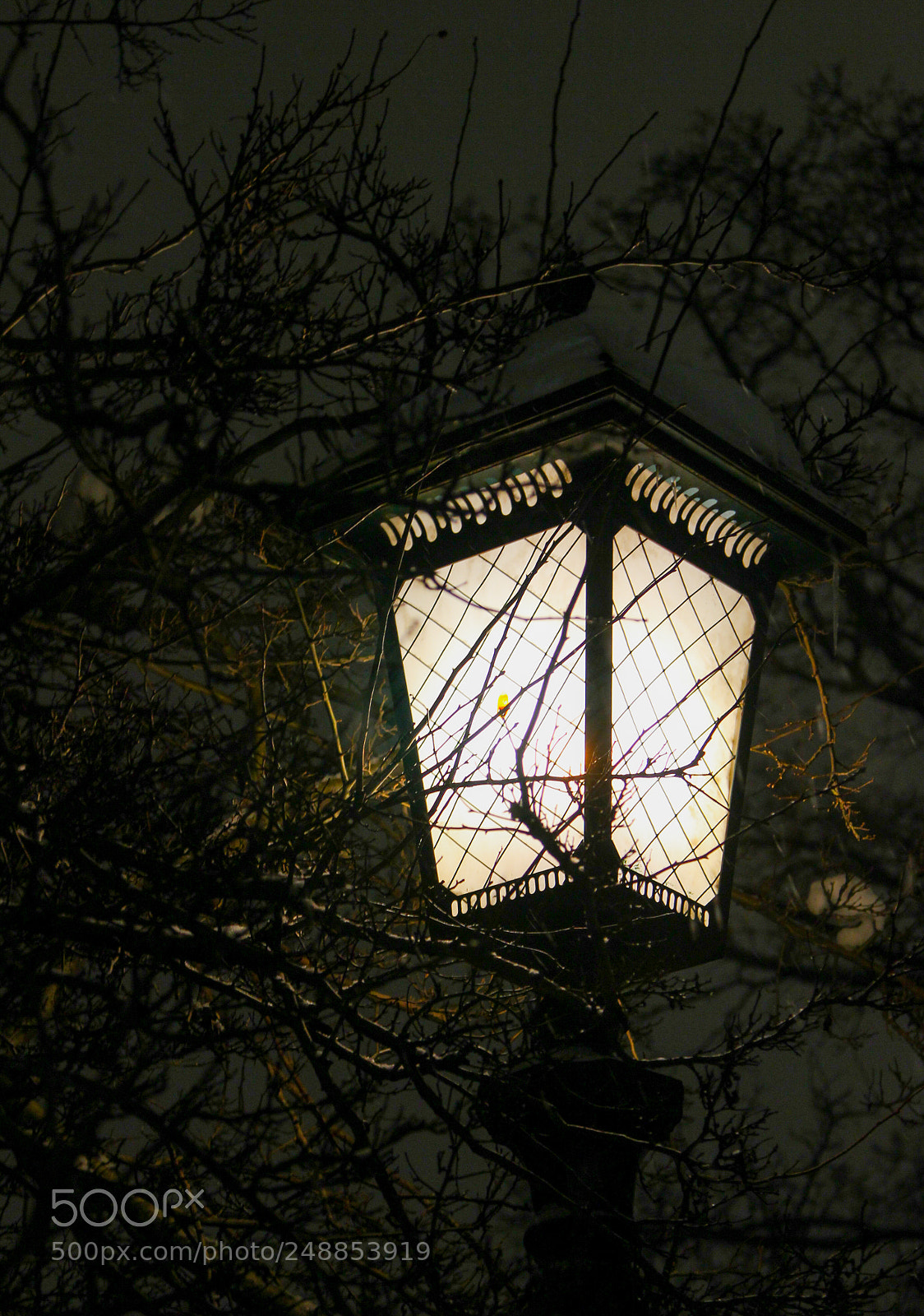 Canon EOS 600D (Rebel EOS T3i / EOS Kiss X5) sample photo. Lantern in the park photography