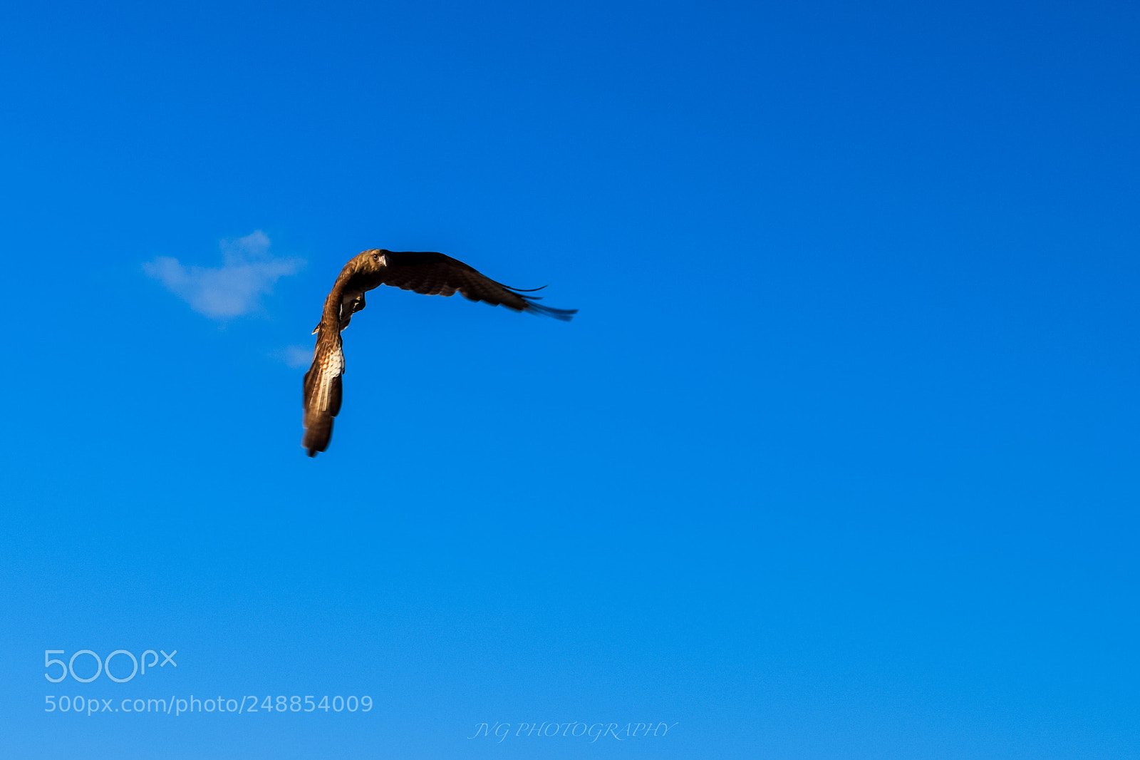 Nikon D5300 sample photo. Ocean sky photography