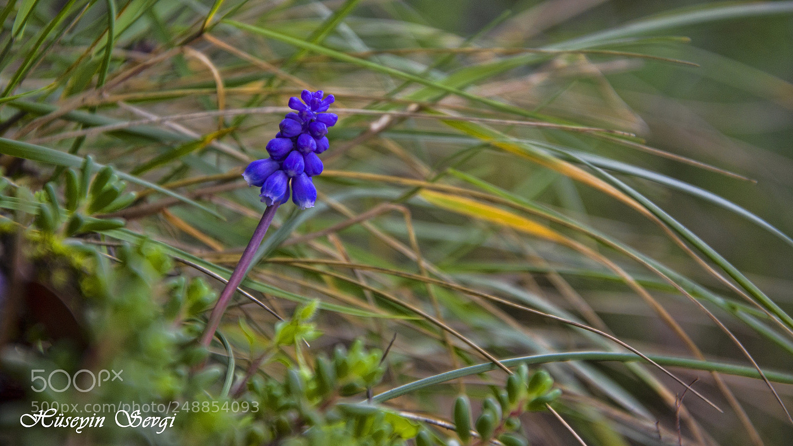 Nikon D7000 sample photo. Untitled photography