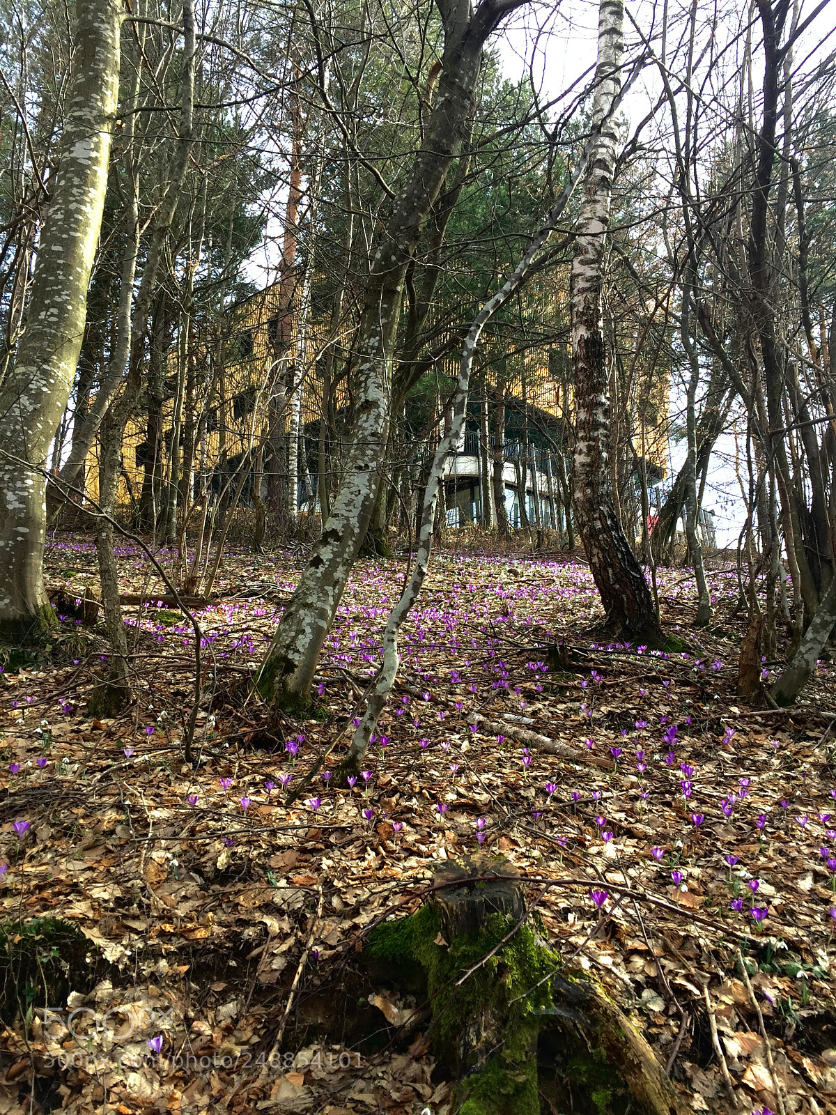 Apple iPhone 6 sample photo. Bosnia photography