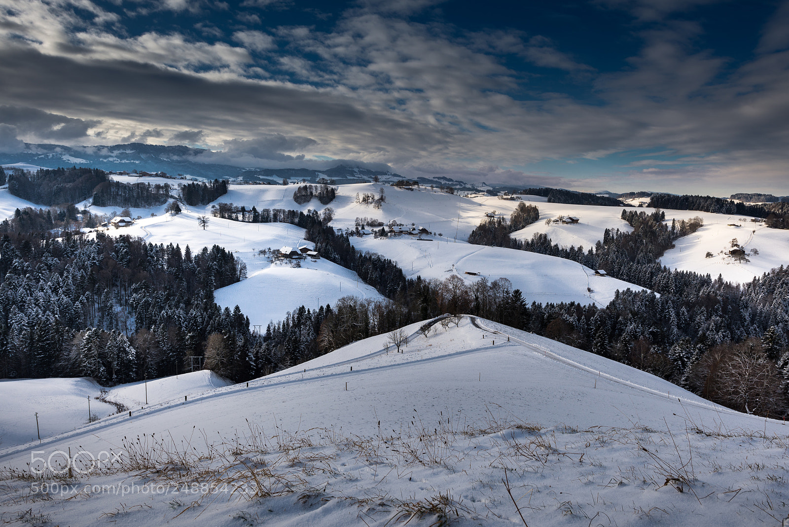 Nikon D600 sample photo. Winterland photography