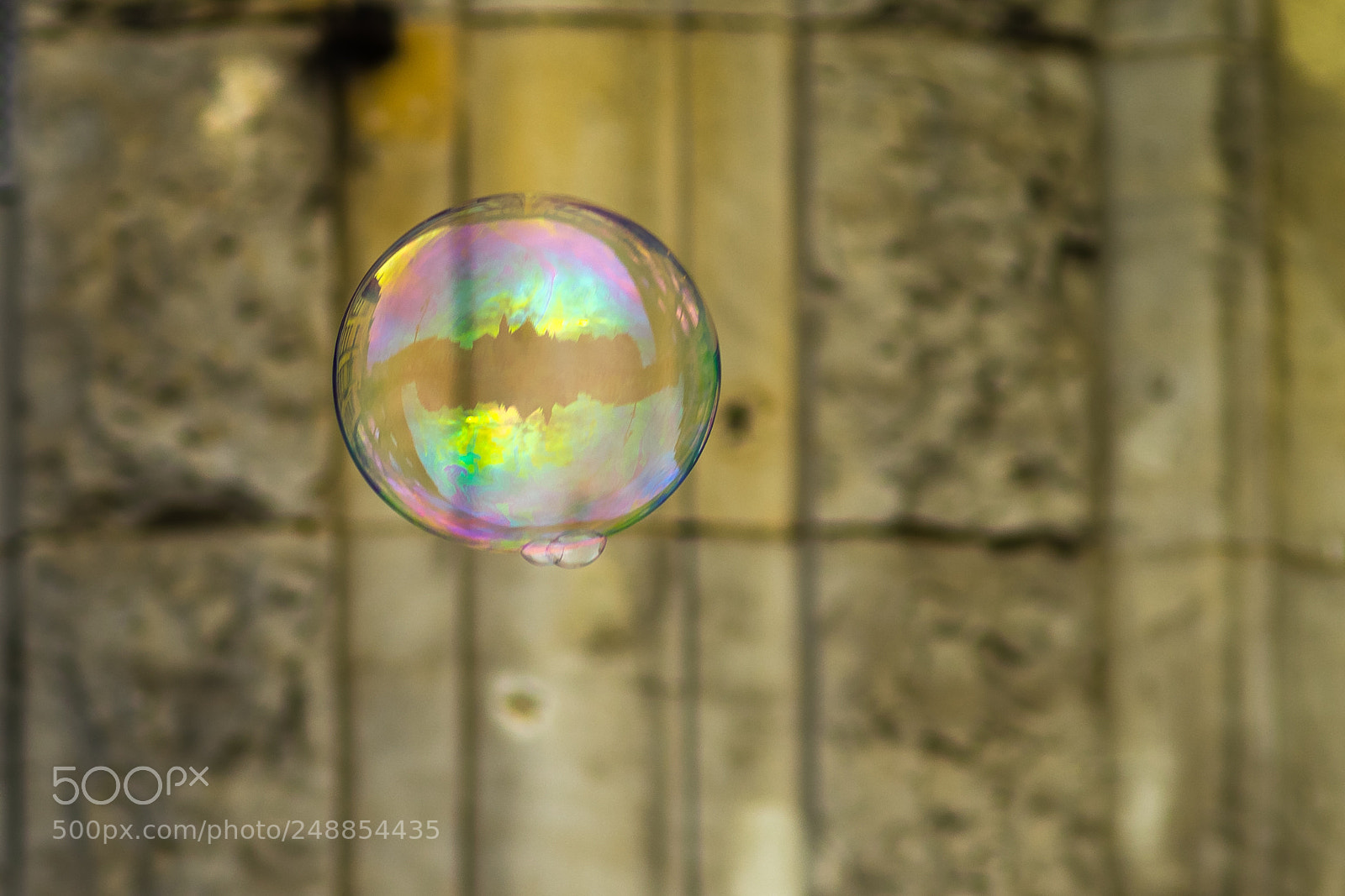 Sony a7 II sample photo. Wroclaw w bace mydlanej photography