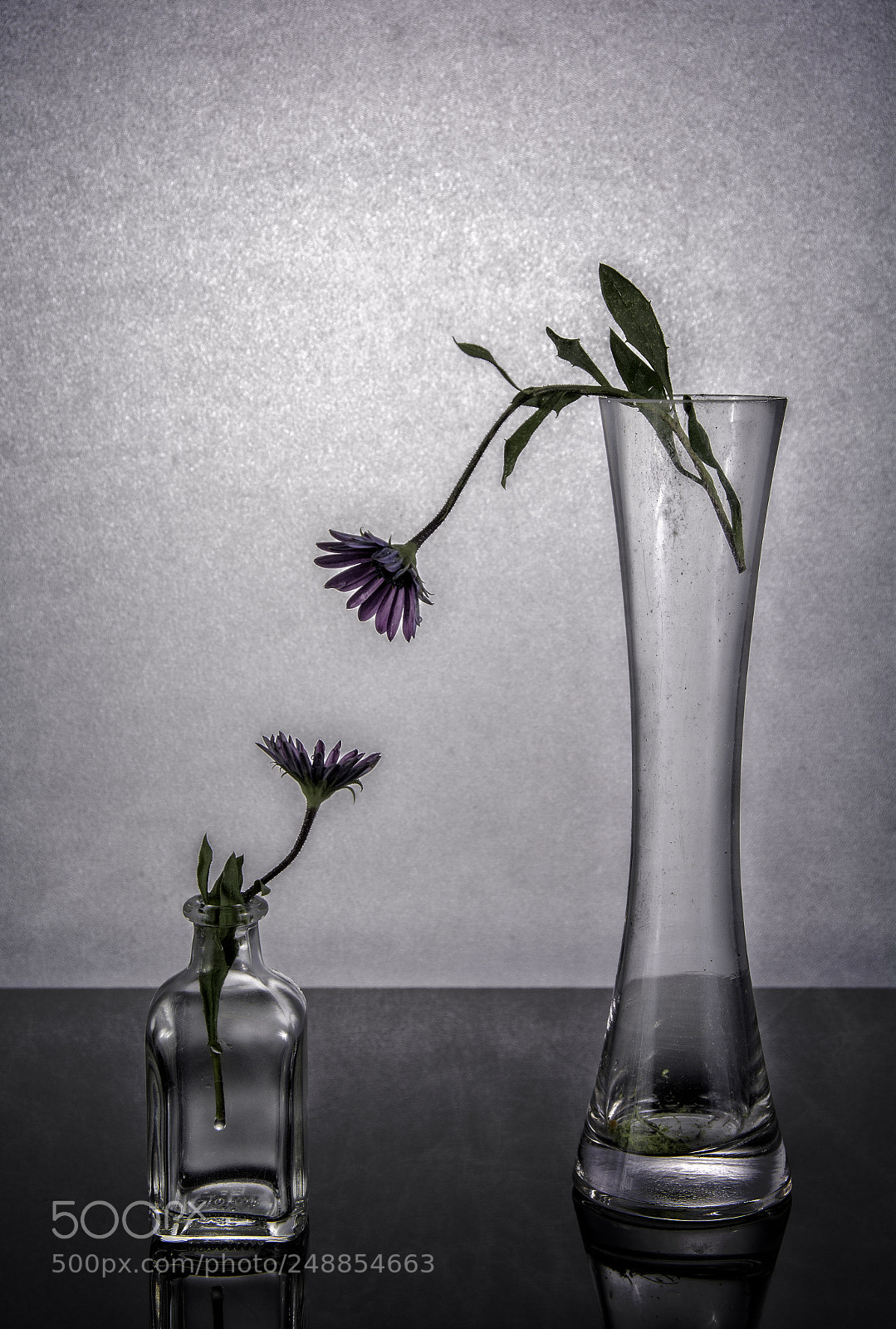 Nikon D7100 sample photo. Still life photography