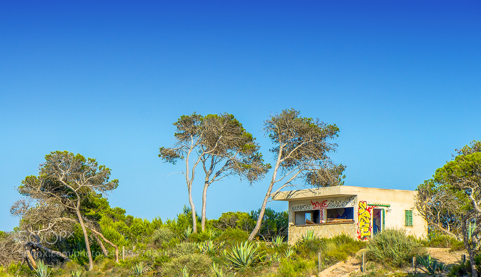 Sony Alpha NEX-5 sample photo. Mallorca 2017 photography