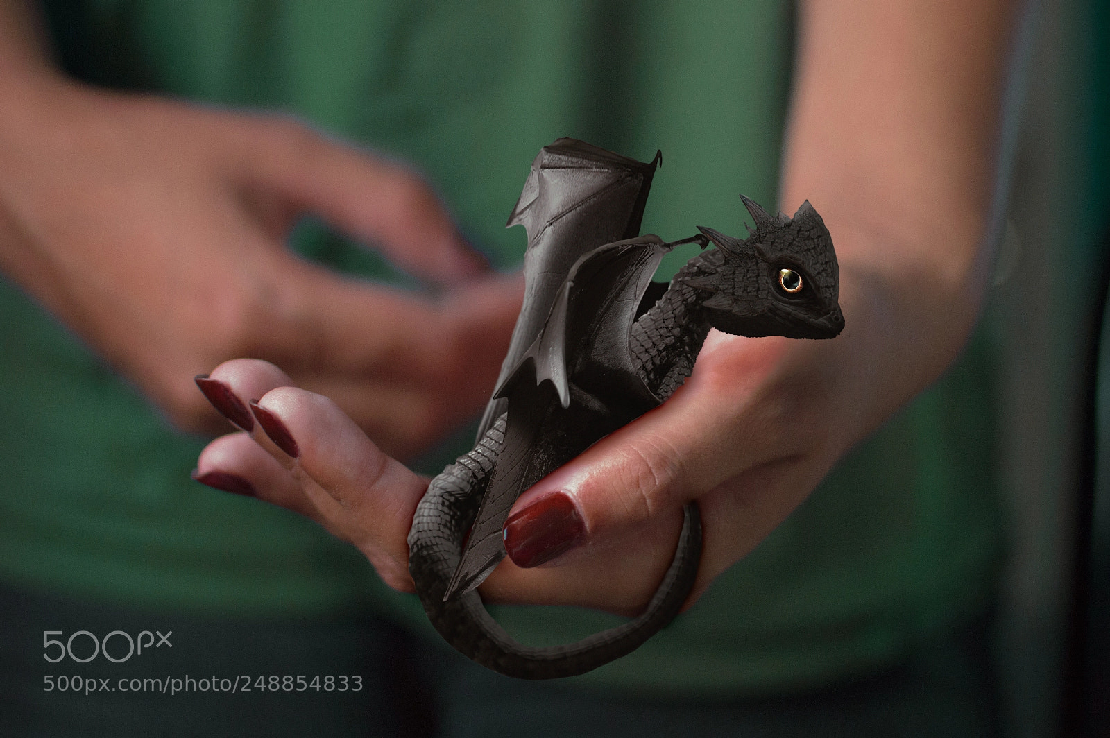 Nikon D3200 sample photo. Dragón photography