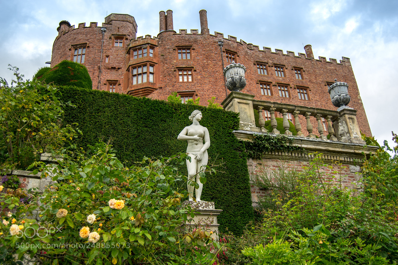 Nikon D3300 sample photo. Powis castle garden photography
