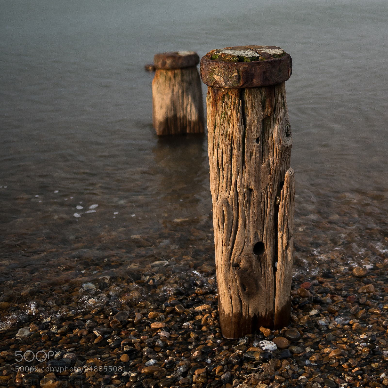 Olympus OM-D E-M1 Mark II sample photo. Weathered groyne post photography