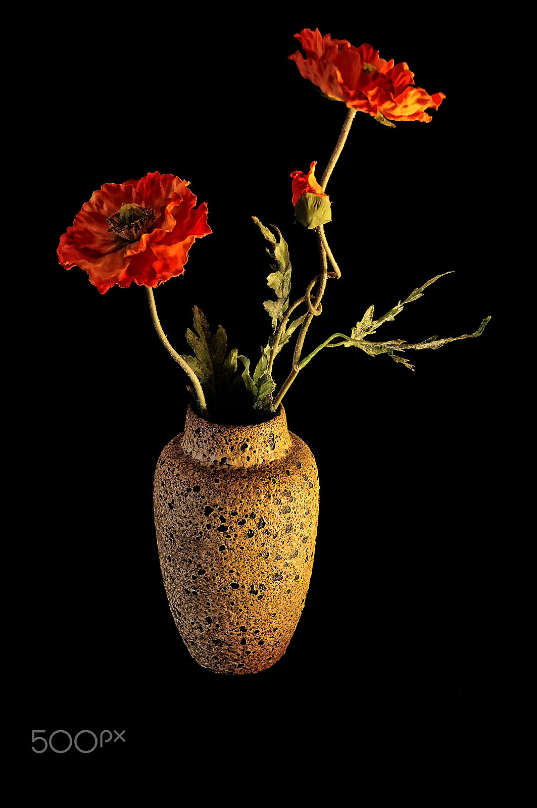 Nikon D5000 sample photo. Poppies in vase photography