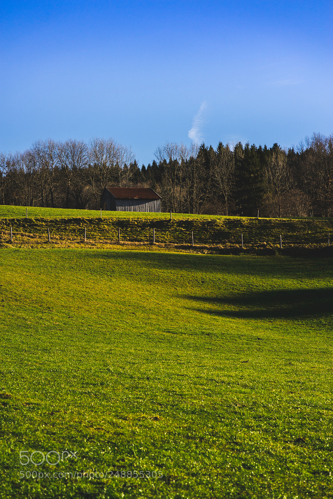 Sony a7R sample photo. Spring meadow in mountains photography