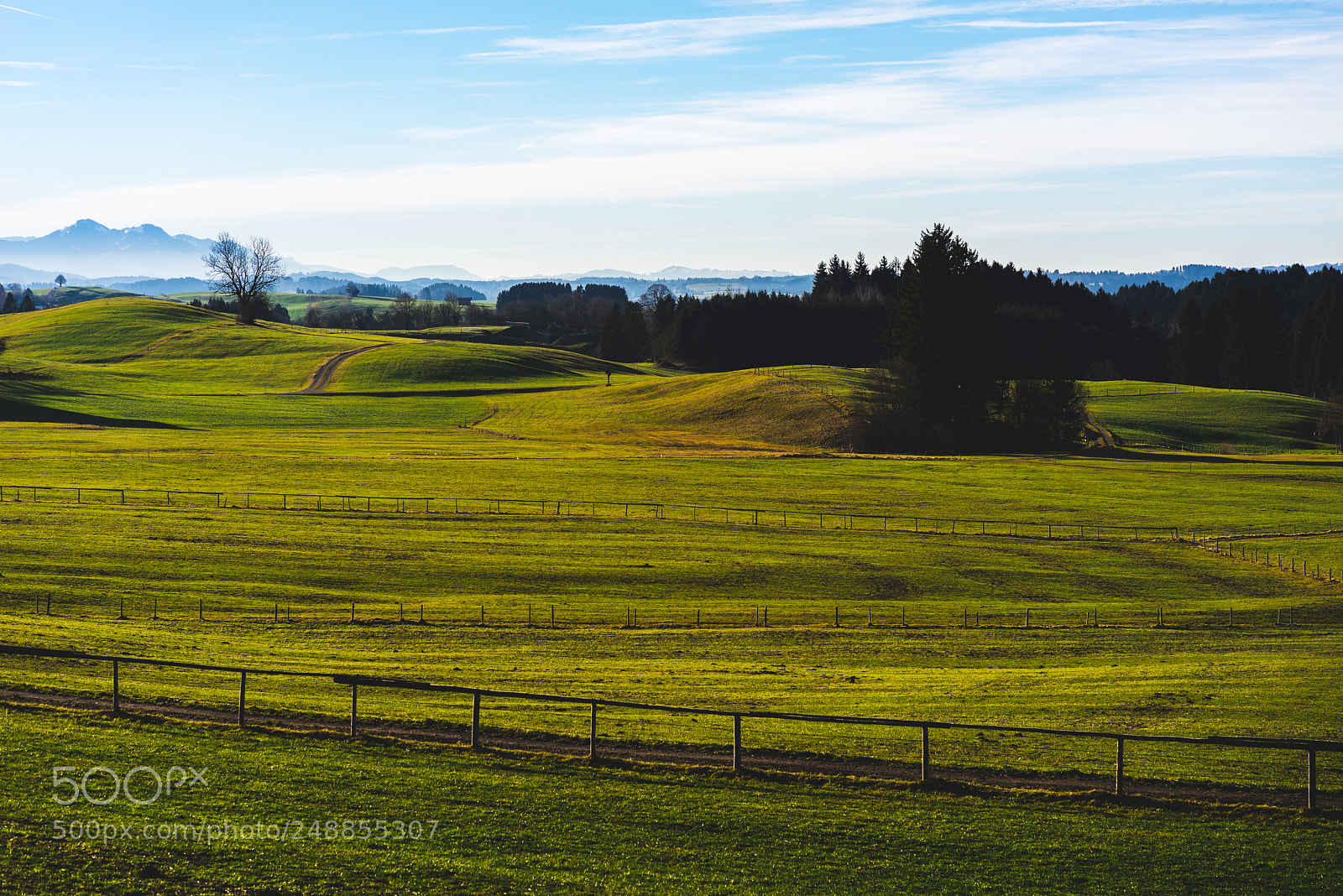 Sony a7R sample photo. Spring meadow in mountains photography