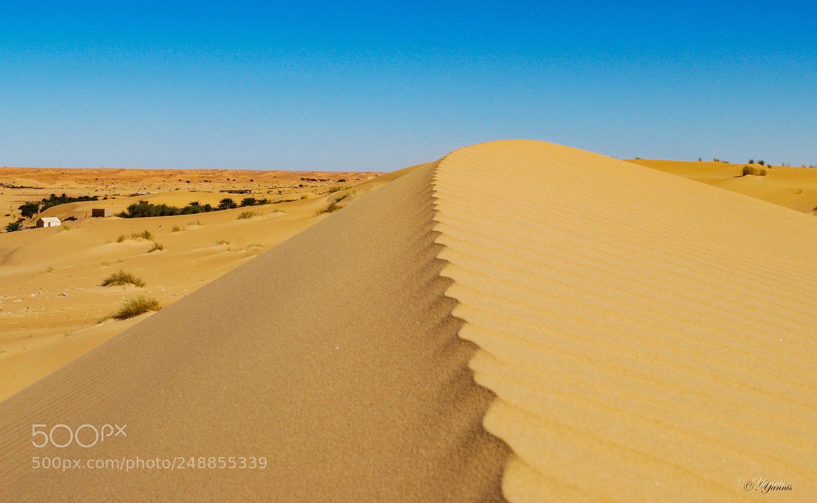 Nikon D60 sample photo. Desert mauritanien photography