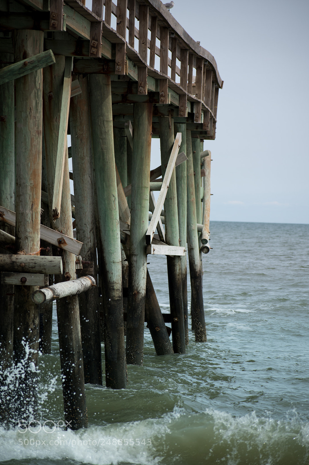 Nikon D5600 sample photo. Old pier photography
