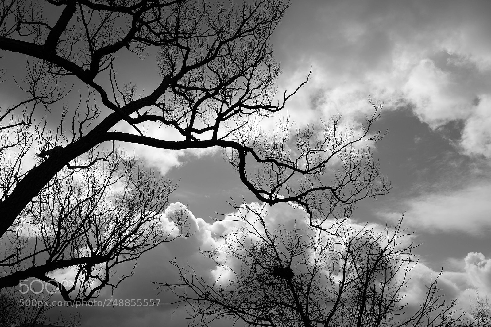 Fujifilm X-T10 sample photo. Fear photography