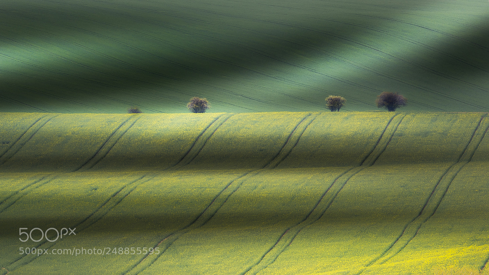 Nikon D7100 sample photo. South moravian land photography