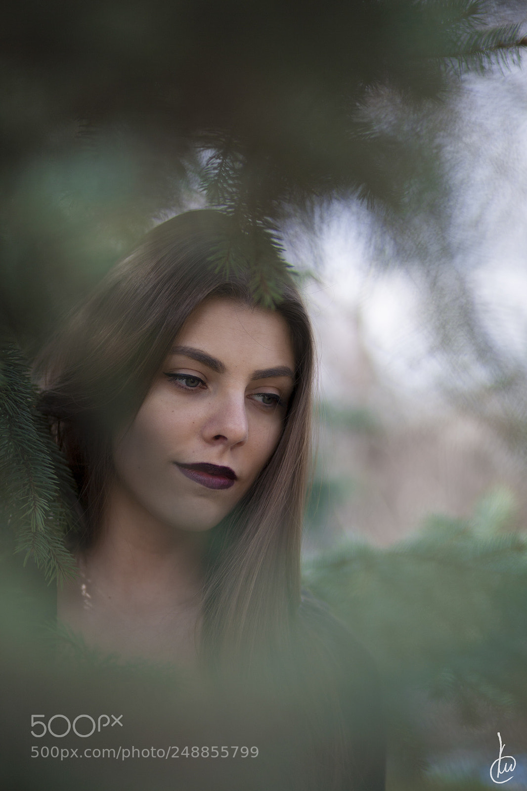 Canon EOS 5D sample photo. Mihaela photography