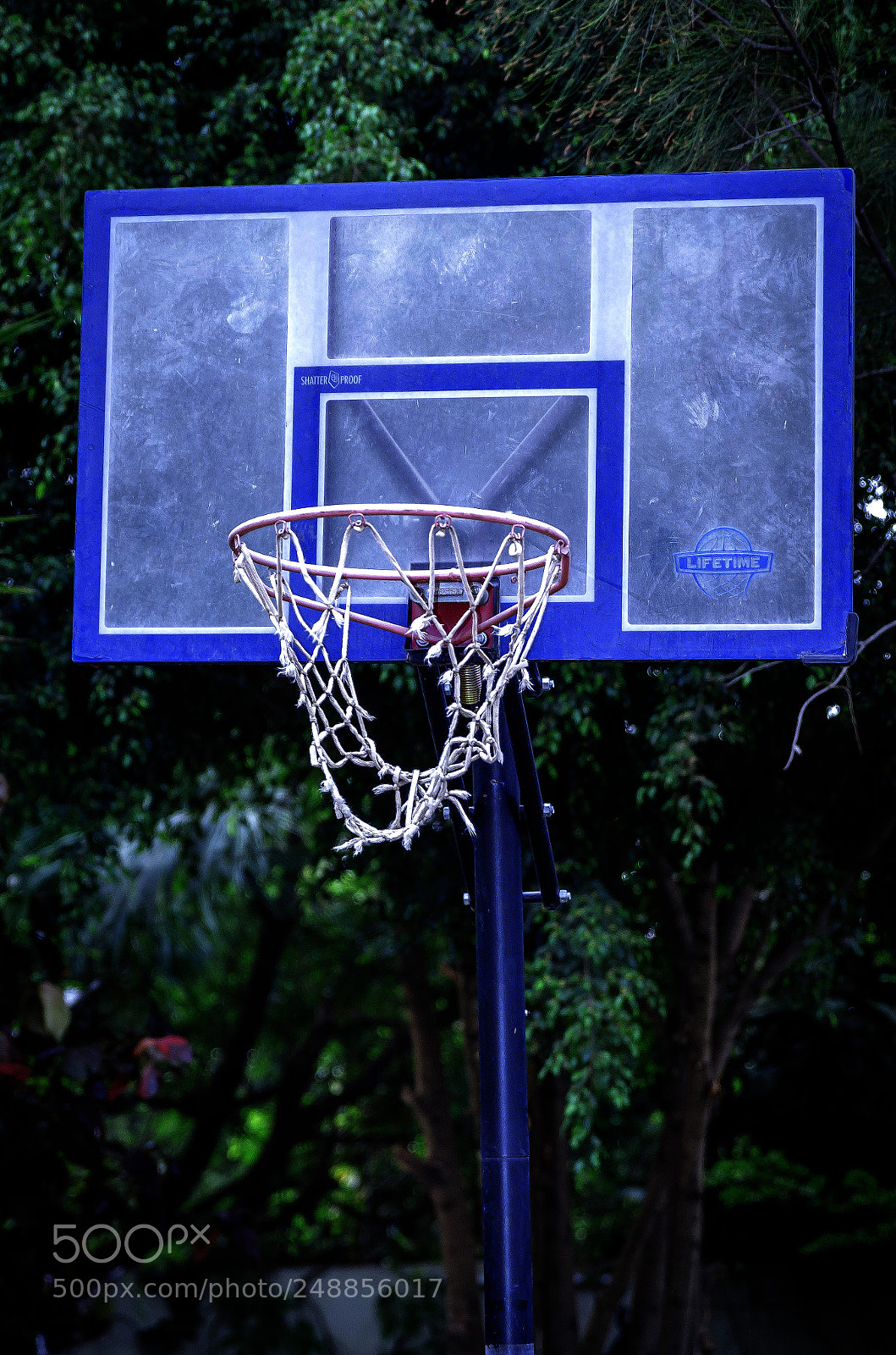 Nikon D5100 sample photo. Basketball photography