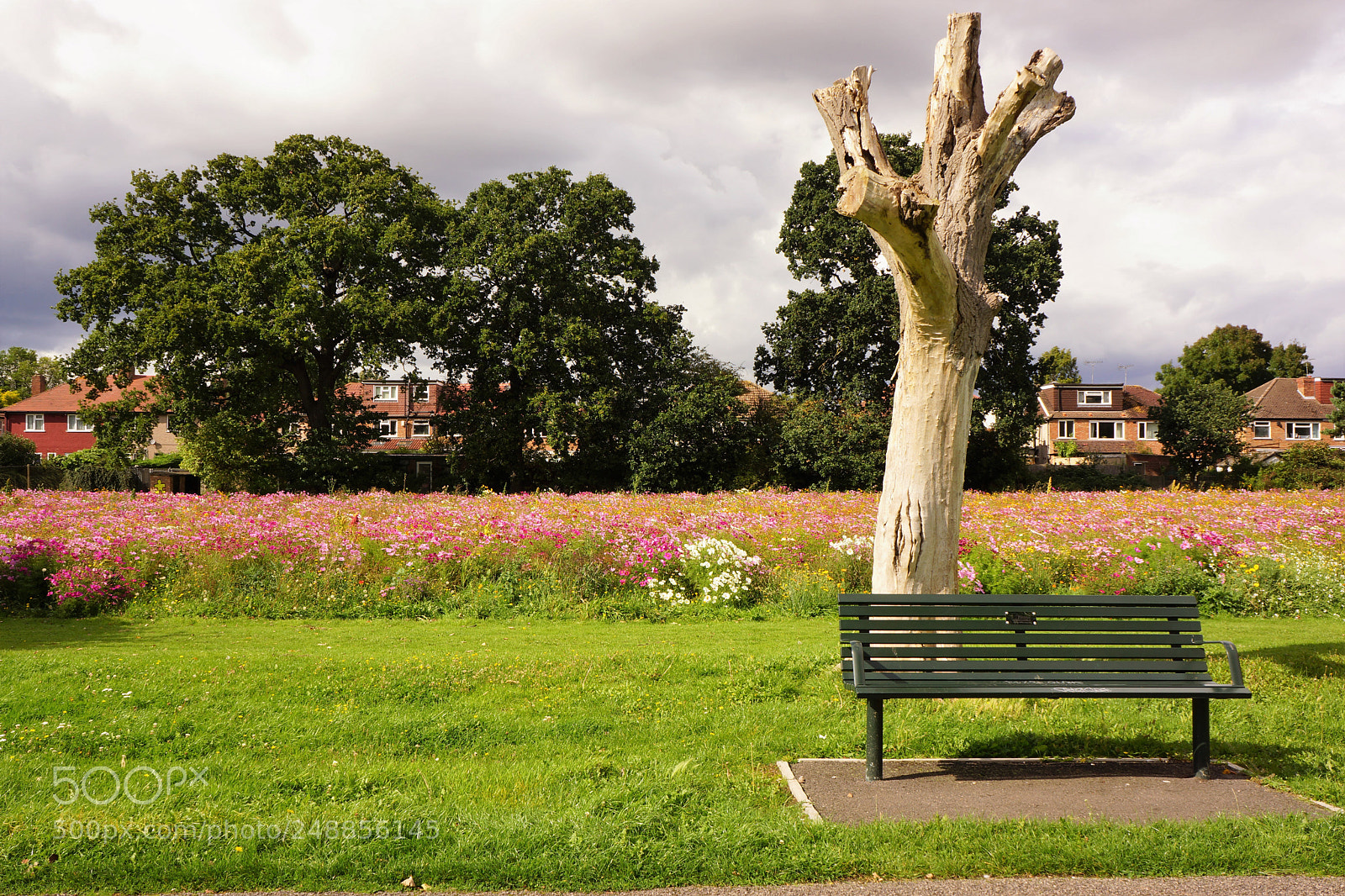Sony Alpha NEX-7 sample photo. Standing alone photography