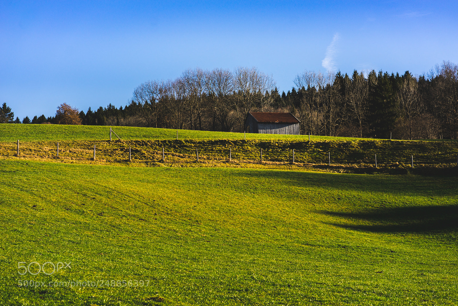 Sony a7R sample photo. Spring meadow in mountains photography