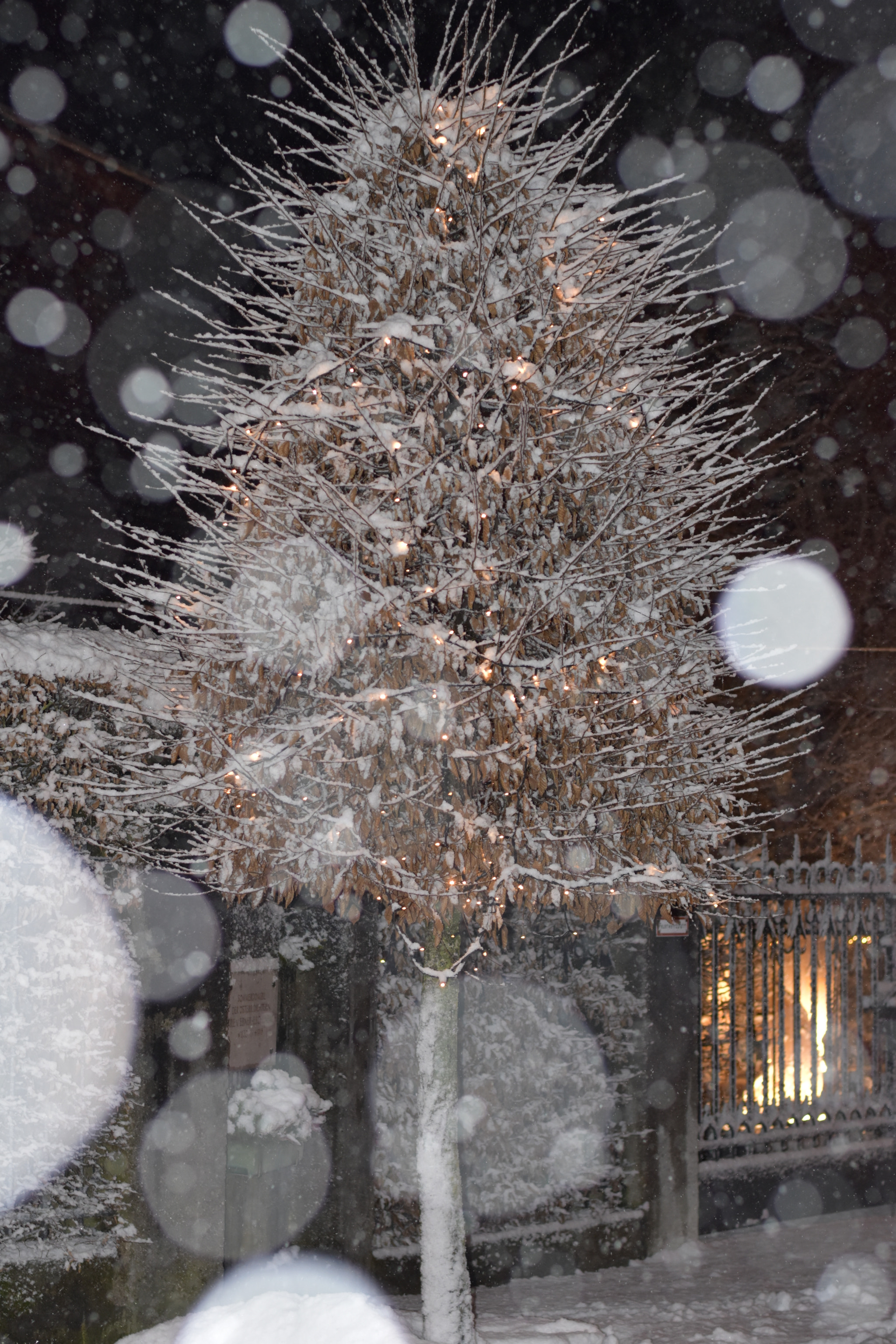 Nikon D5500 + Nikon AF-S Nikkor 50mm F1.8G sample photo. Snow in austria photography
