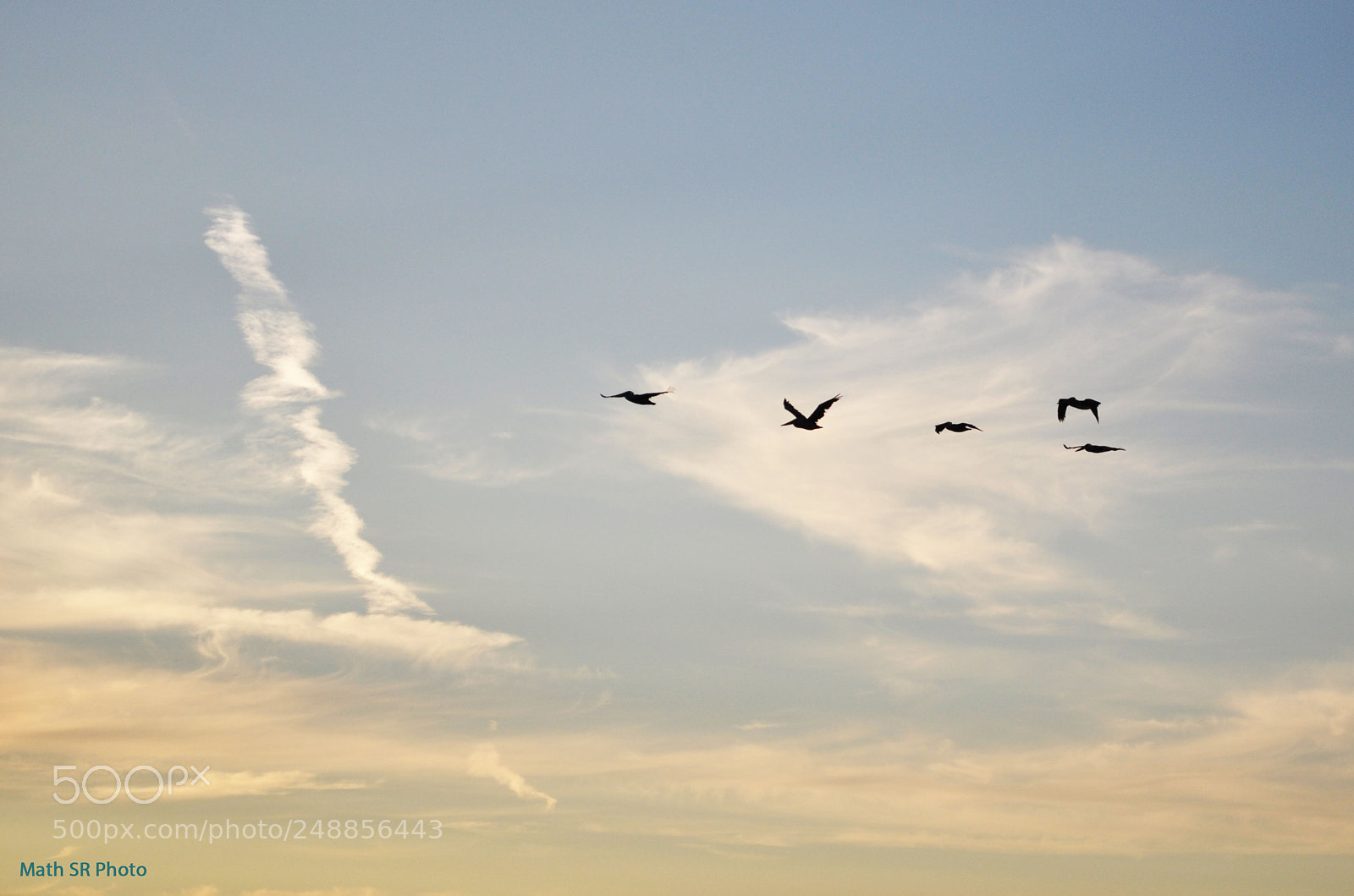 Nikon D5000 sample photo. Simple things of life photography