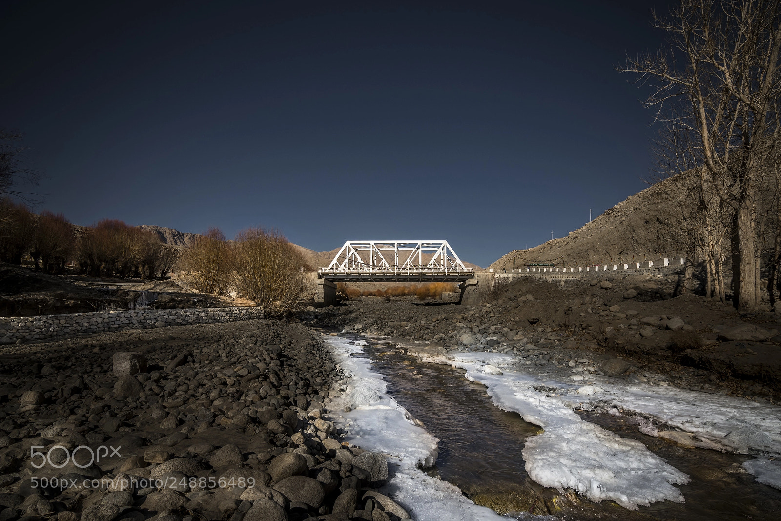 Nikon D500 sample photo. Bridge photography