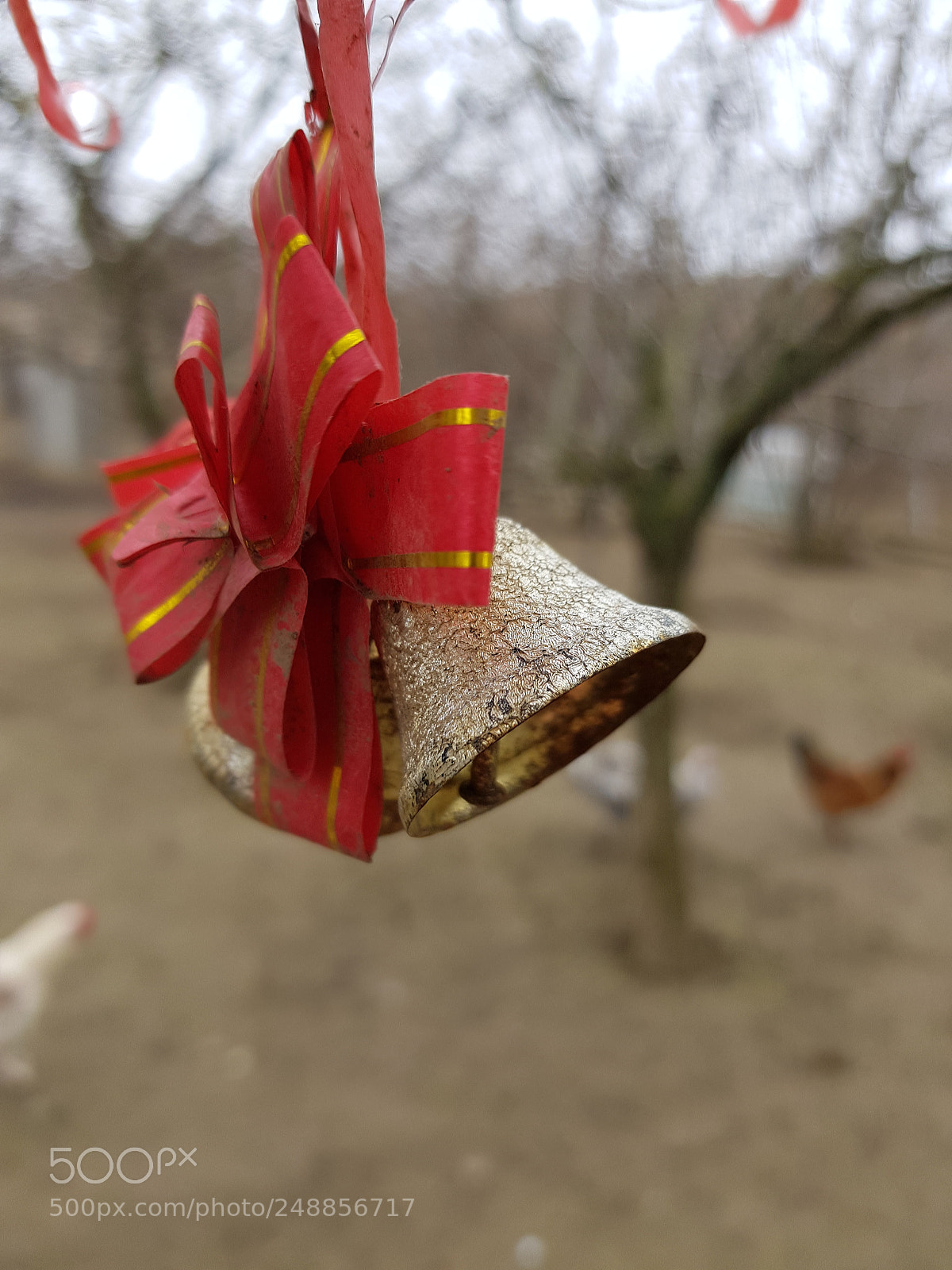 Samsung Galaxy S8 sample photo. Untitled photography
