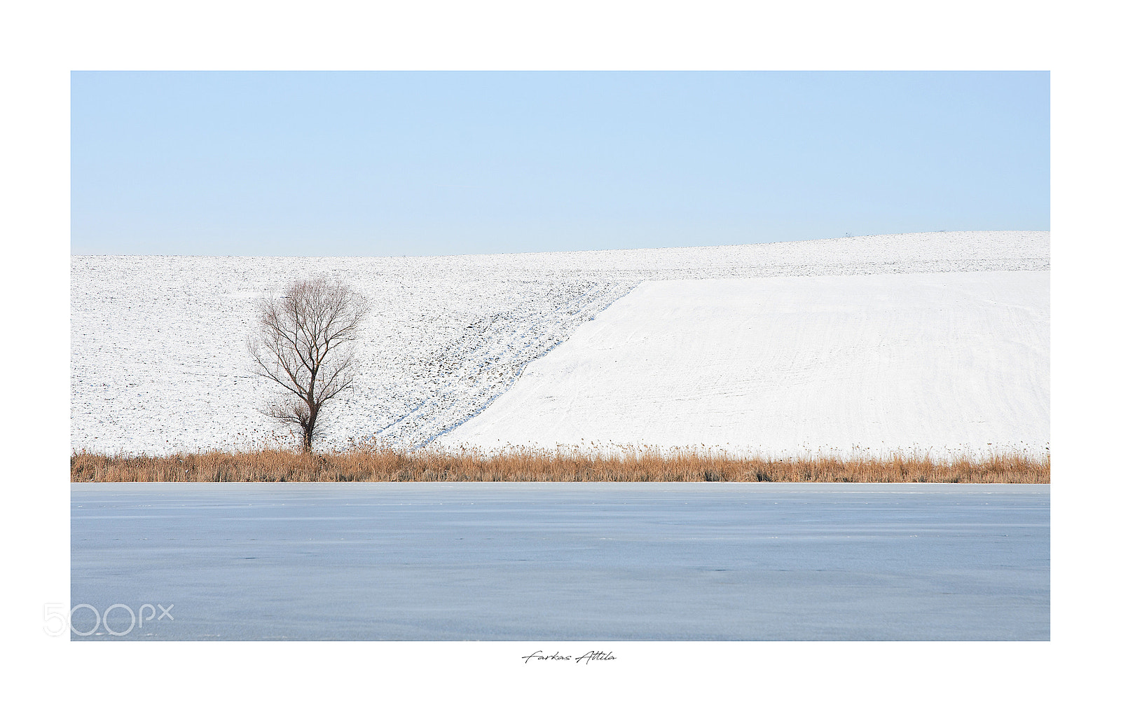 Nikon D7000 sample photo. Lakeside solitude photography