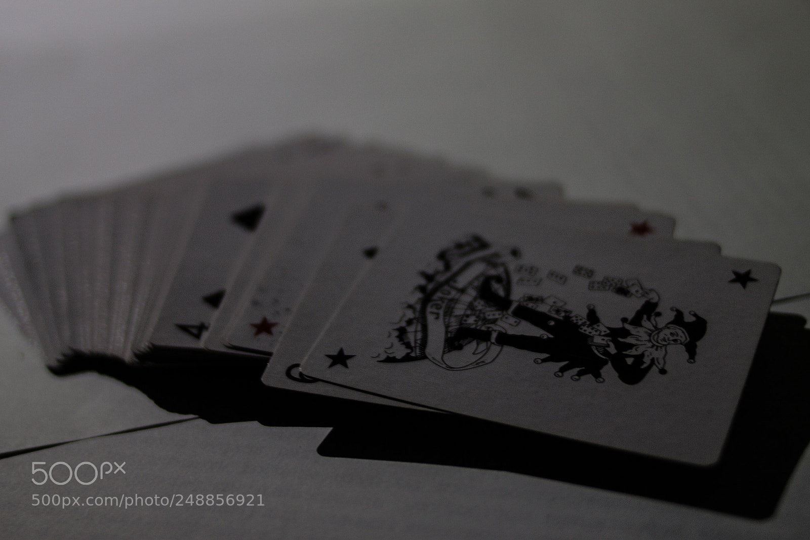 Canon EOS 1100D (EOS Rebel T3 / EOS Kiss X50) sample photo. Joker photography