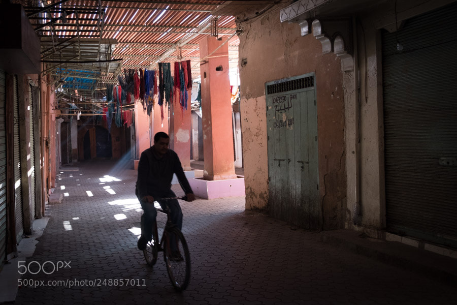 Fujifilm X-T2 sample photo. Early morning light and photography