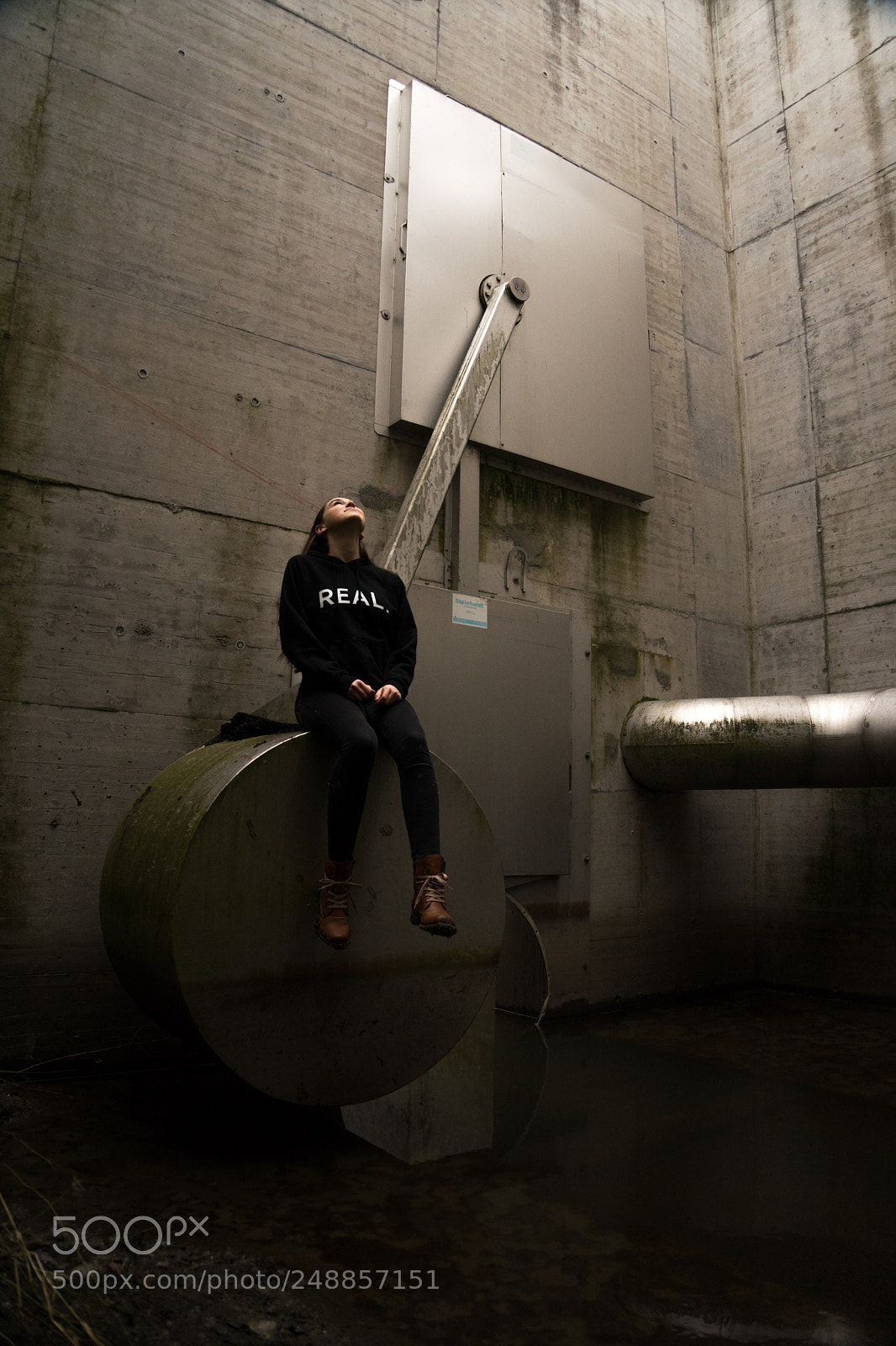 Sony a7 II sample photo. Look up. photography