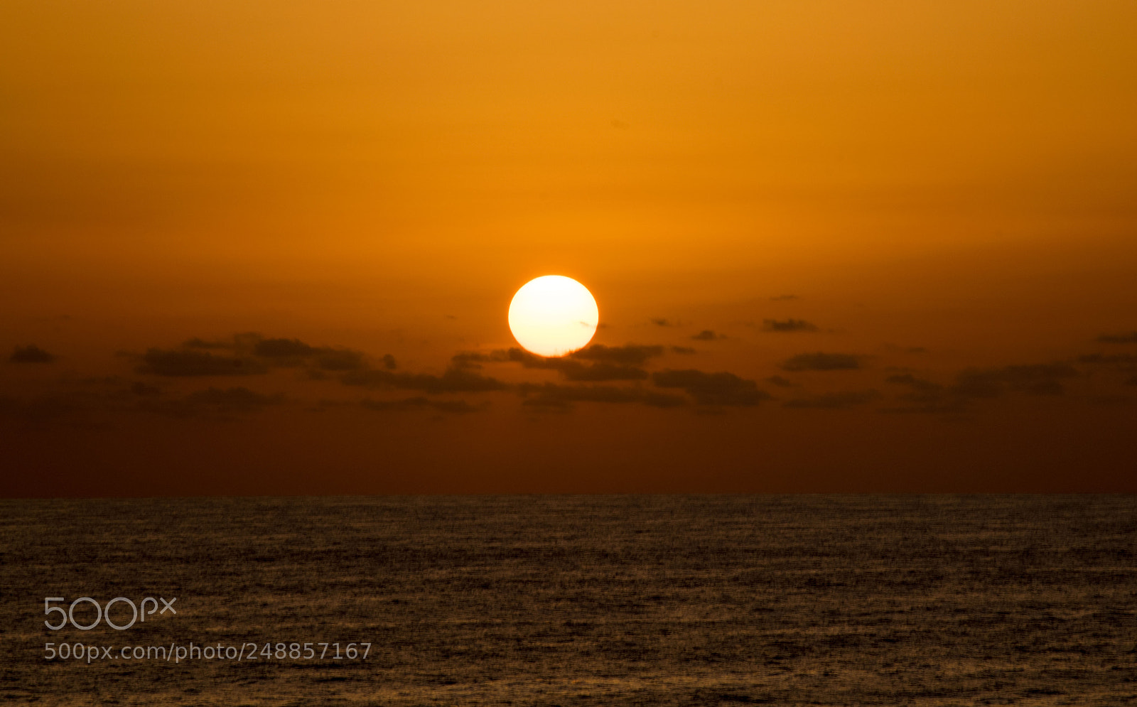 Nikon D5300 sample photo. The sun rises ! photography