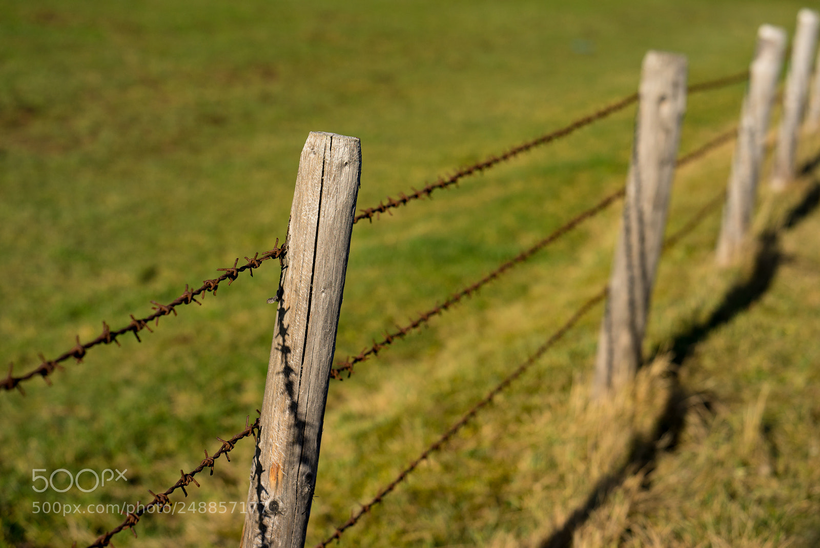 Sony a7R sample photo. Barbed wire fence photography