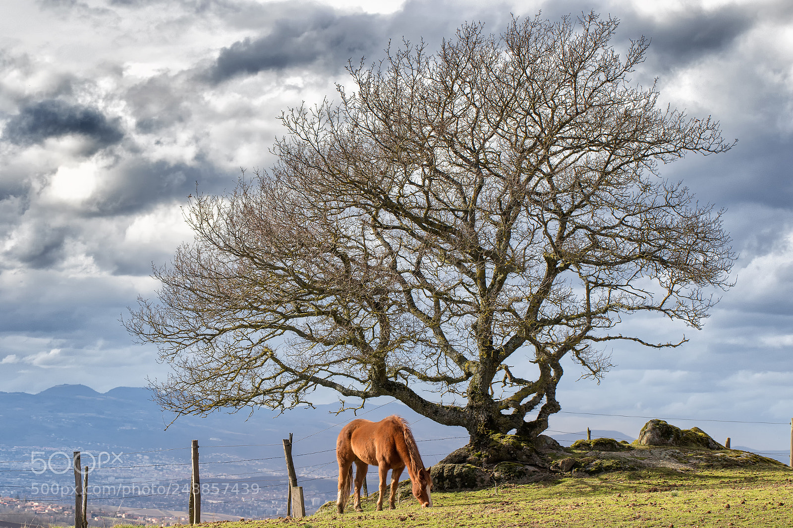 Canon EOS 7D Mark II sample photo. 6k7a7868_1.jpg photography
