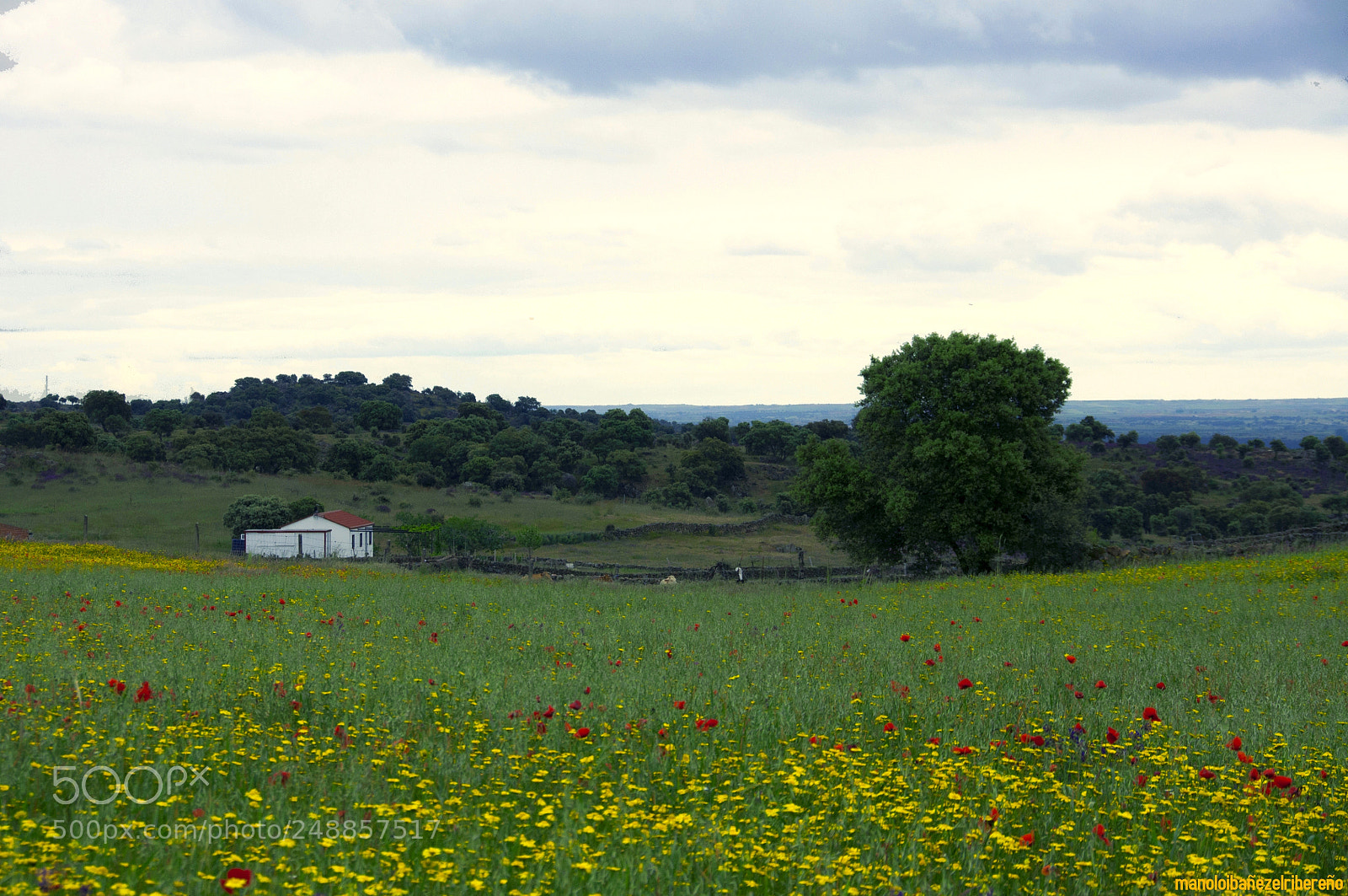 Nikon D90 sample photo. Ccdo photography