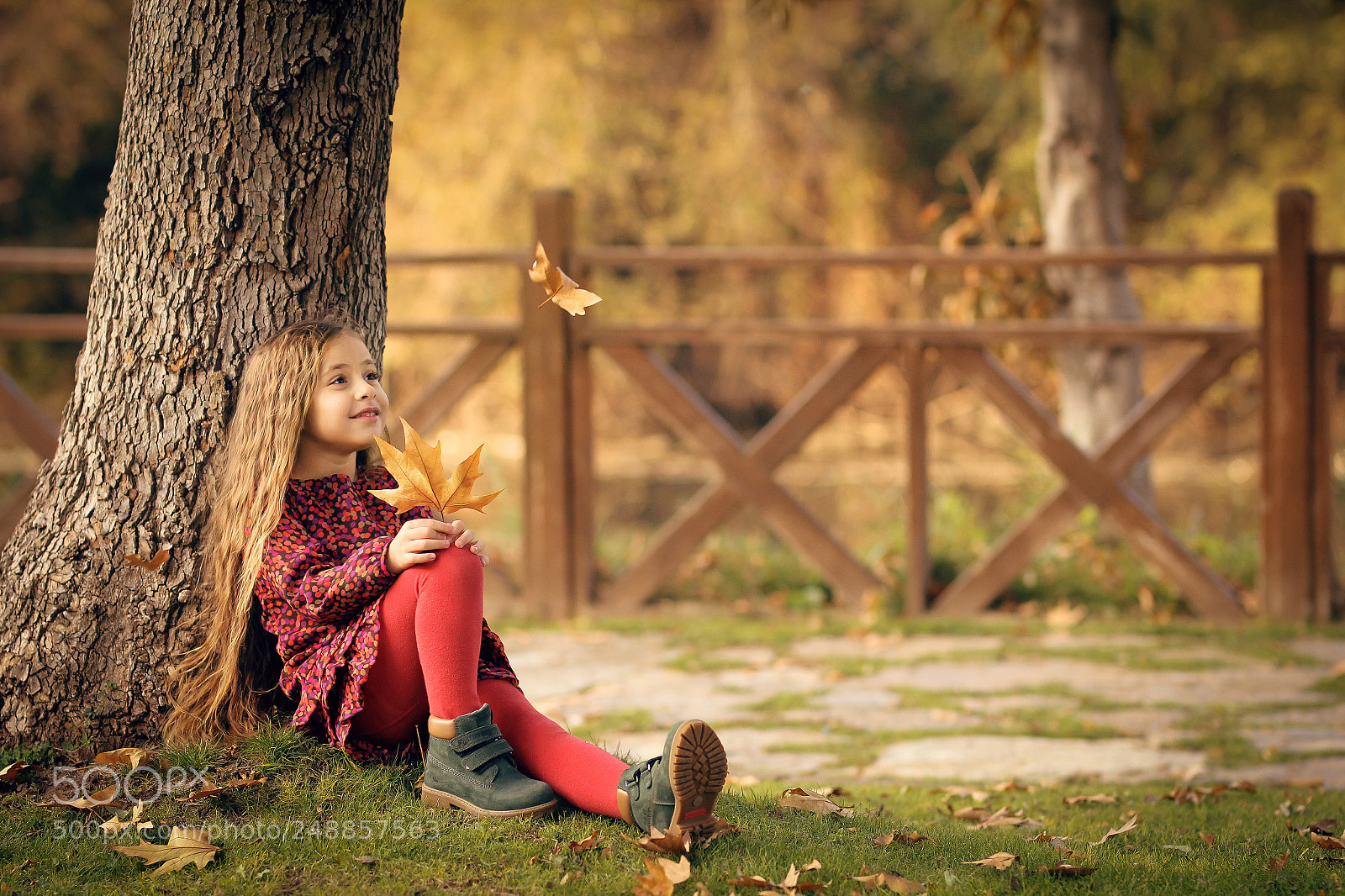 Canon EOS 60D sample photo. Fall of the leaves photography