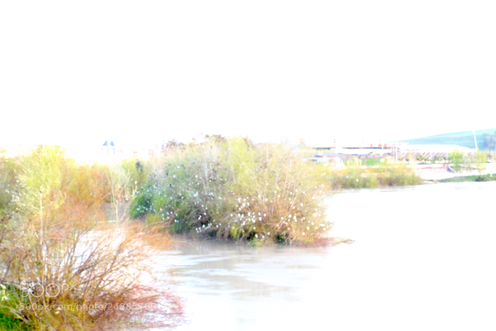 Fujifilm X-M1 sample photo. The birds´time photography
