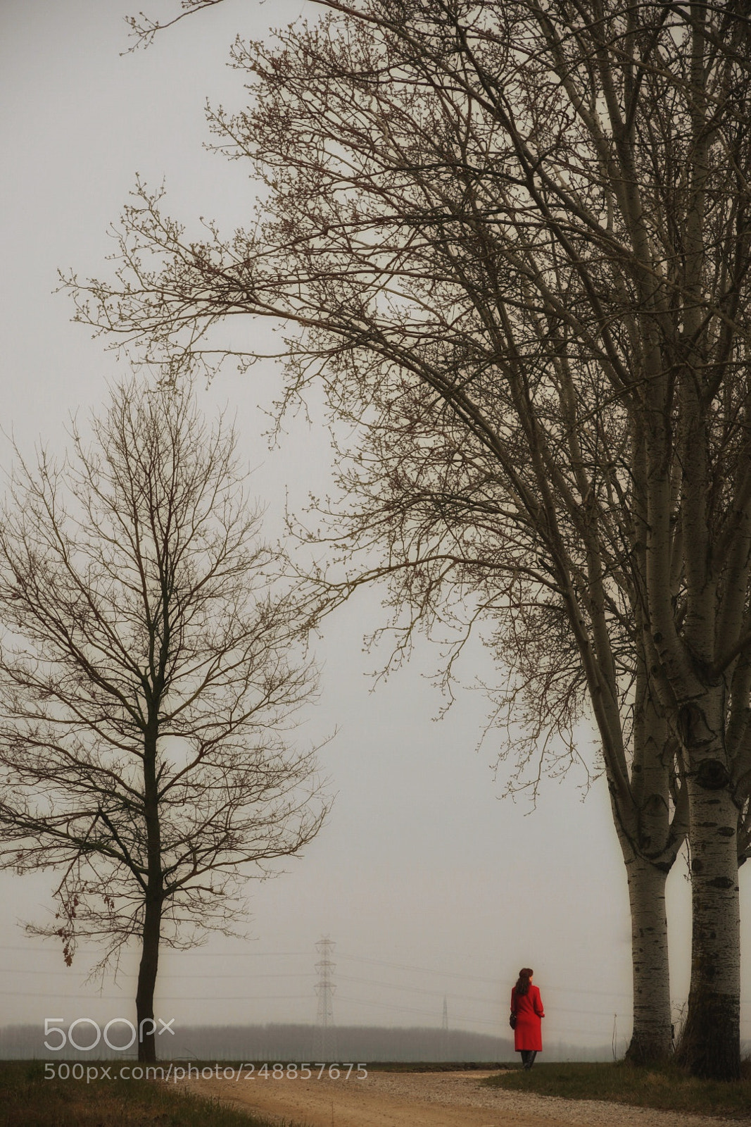 Nikon D500 sample photo. Untitled photography