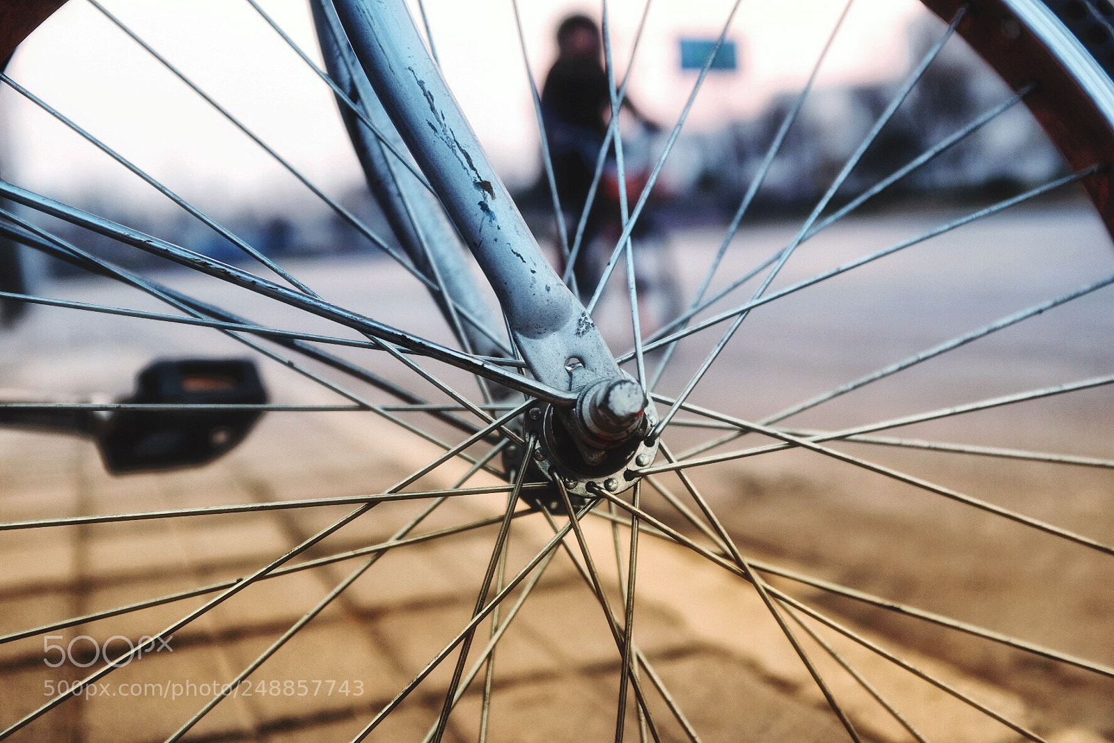Fujifilm X100F sample photo. Untitled photography