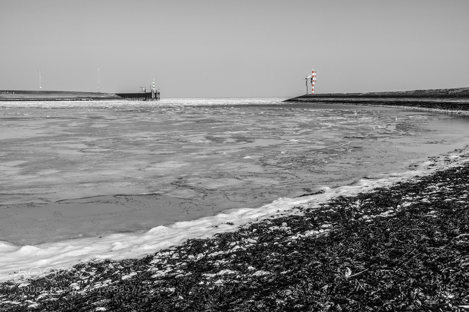Pentax K-3 sample photo. B w but not photography