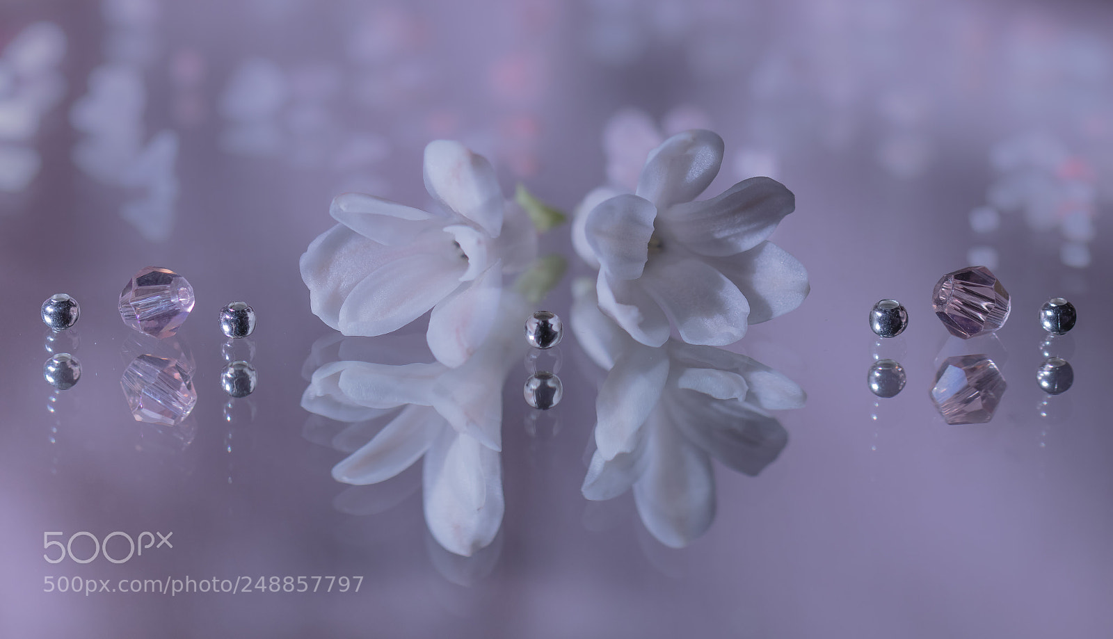 Canon EOS 77D (EOS 9000D / EOS 770D) sample photo. Hyacinth in reflection photography