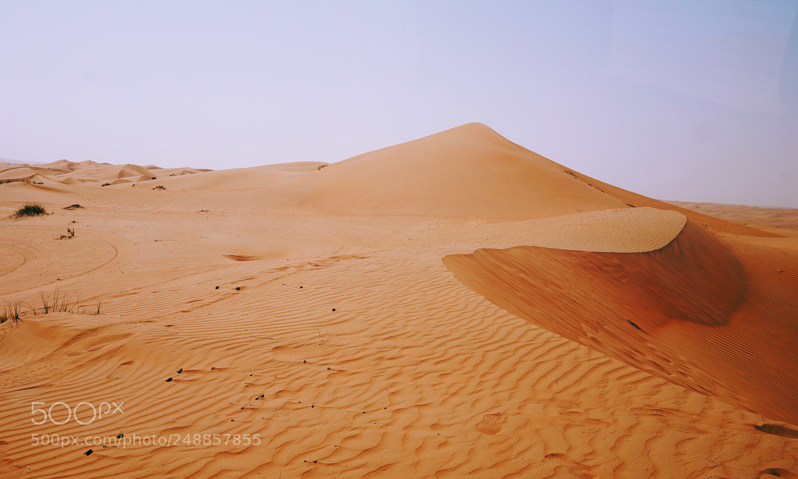 Sony a6000 sample photo. Motionless photography