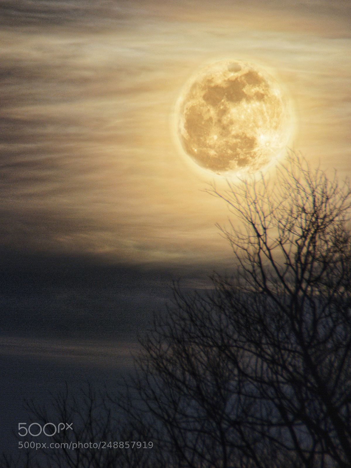 Nikon D7100 sample photo. Bloody blue moon photography