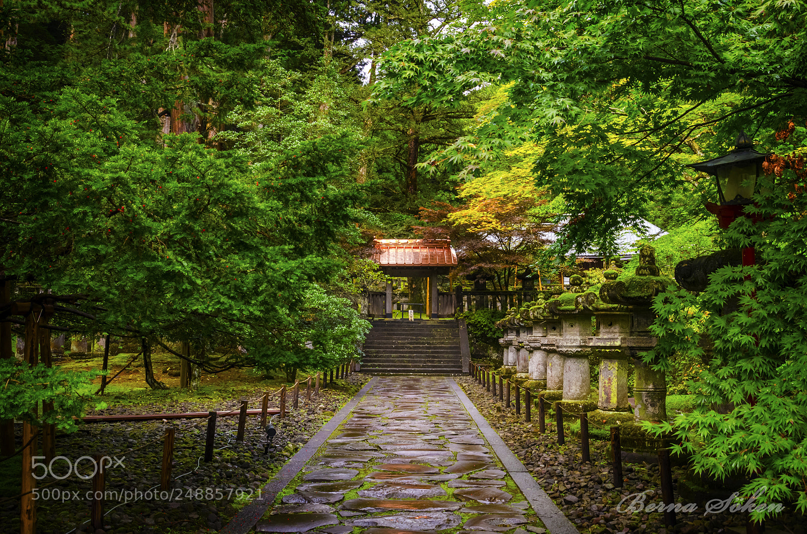 Nikon D7000 sample photo. Golden path photography