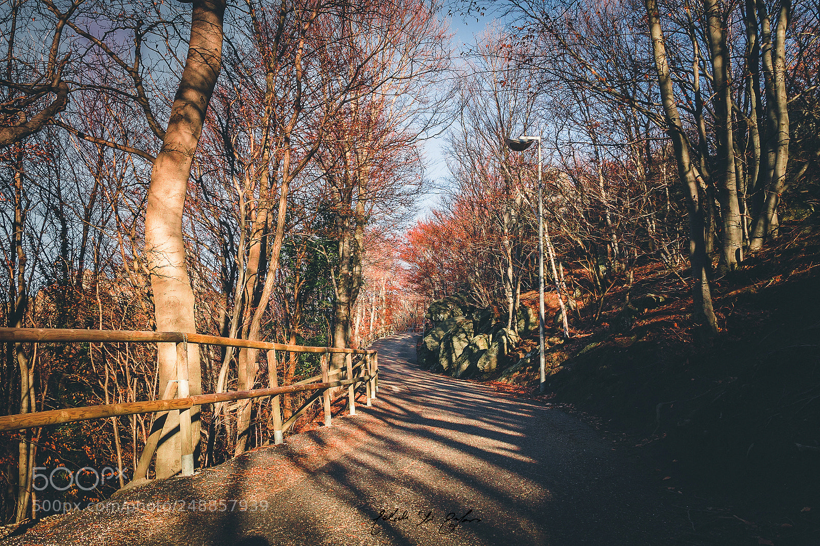 Canon EOS 77D (EOS 9000D / EOS 770D) sample photo. Way in the light photography