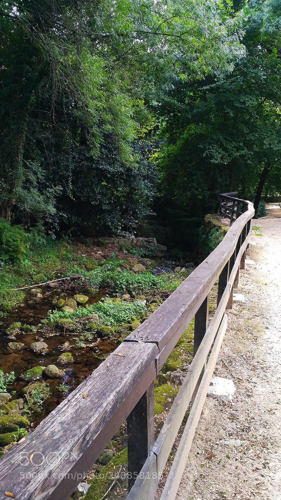 Xiaomi Redmi 3S sample photo. Untitled photography