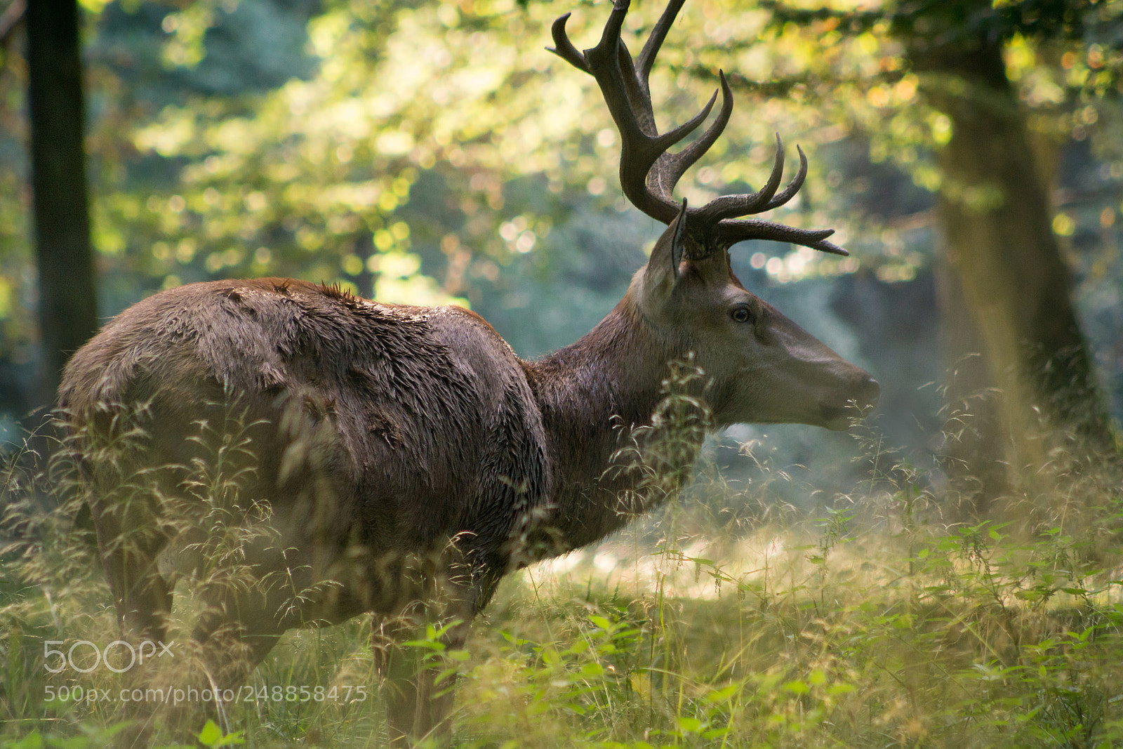 Sony a6000 sample photo. Carsten photography