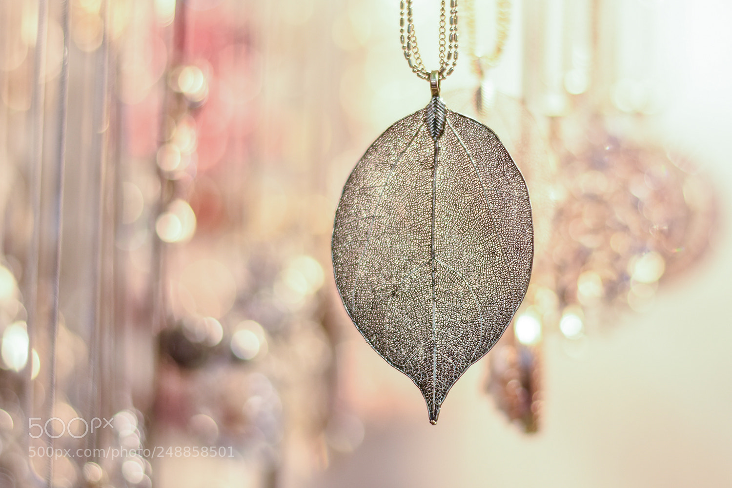 Nikon D3400 sample photo. Hanging leaf photography